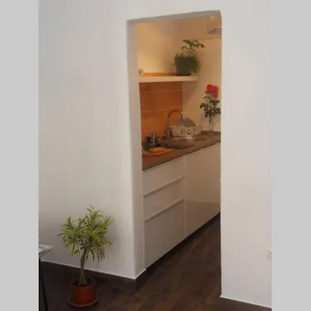 Apartment Pr' Anzinu V Tolminu Tolmin